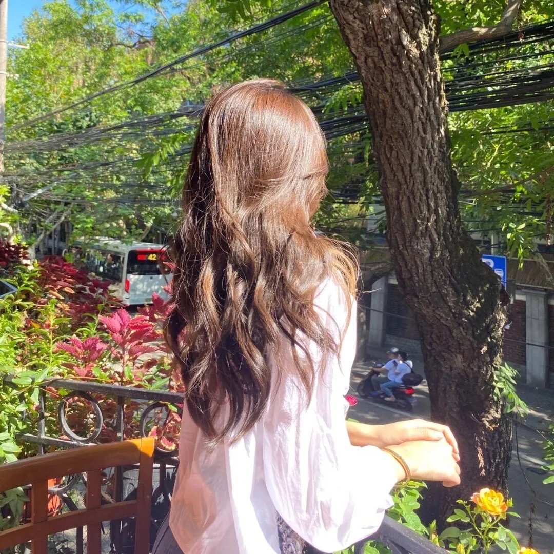 绿鸡蛋和绿火腿第一季